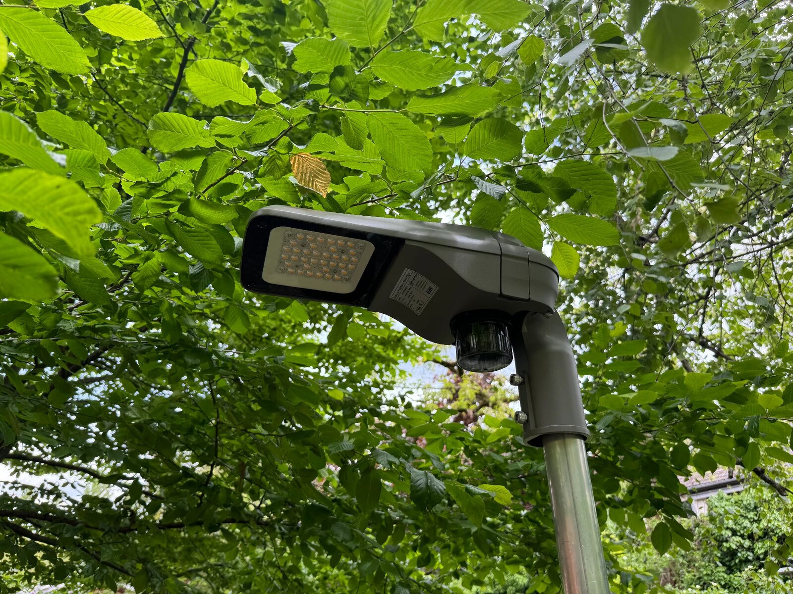 EnvioLux EB23 LED street luminaire with sensor node on a pole, photographed from below against the sky